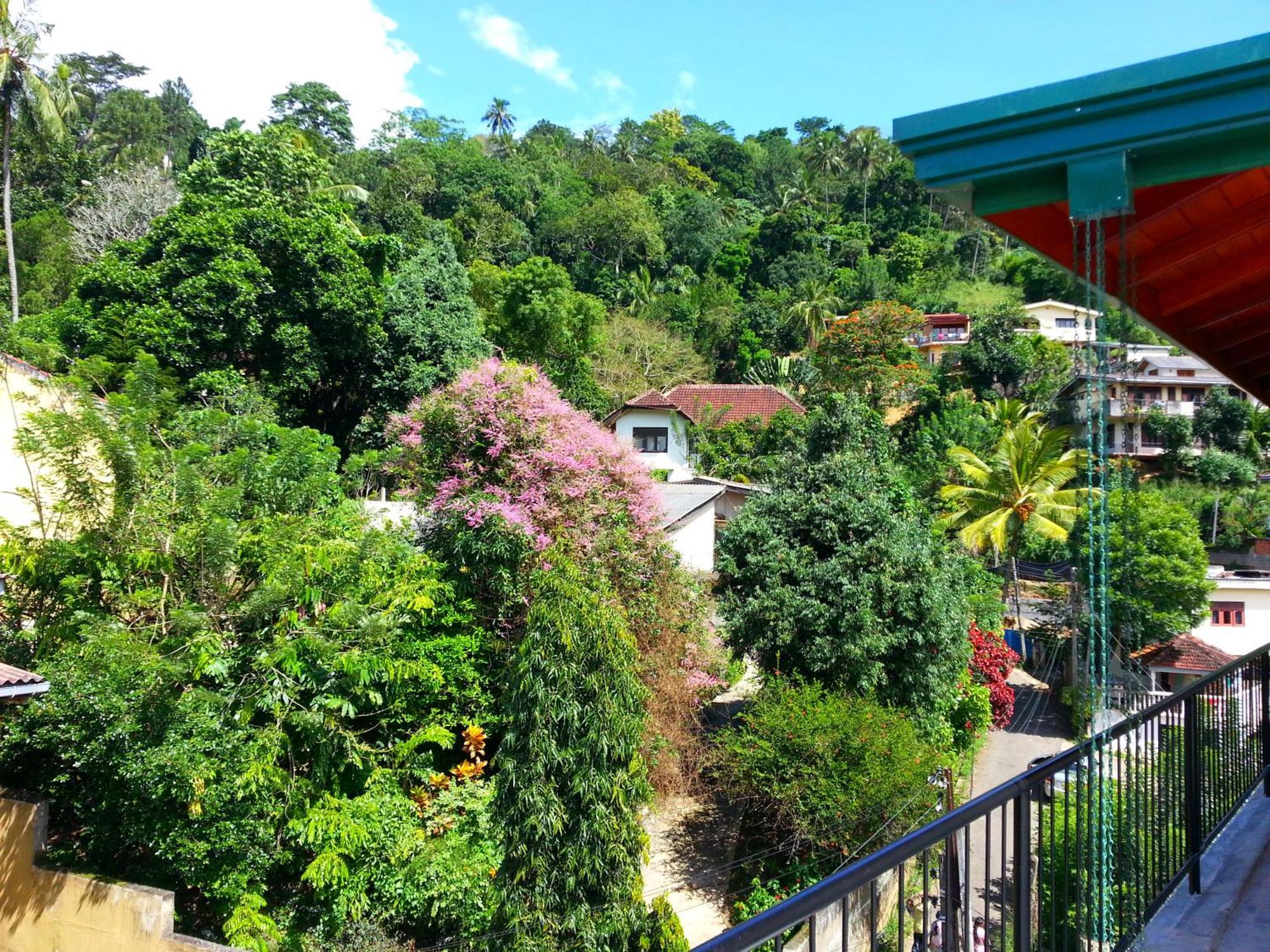 49 Guest house