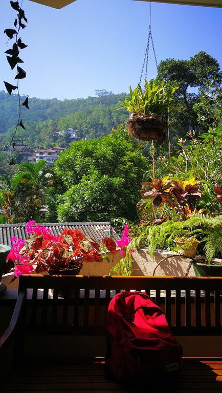 49 Guest house 3*